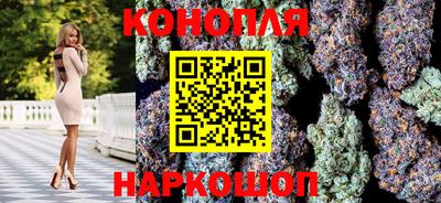 амф Бийск