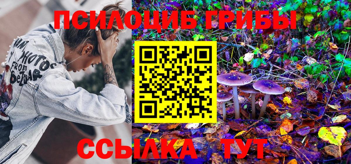 Псилоцибиновые грибы Psilocybe Клинцы